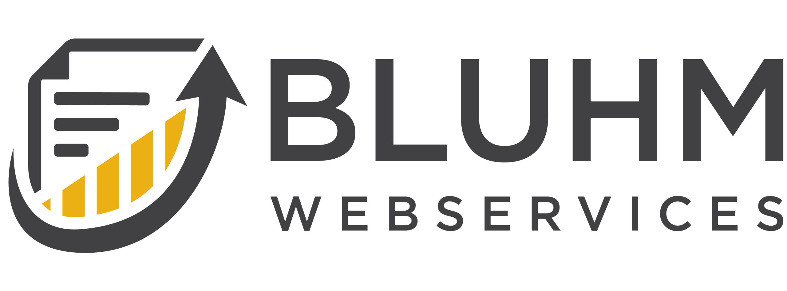 Bluhm Webservices GmbH logo